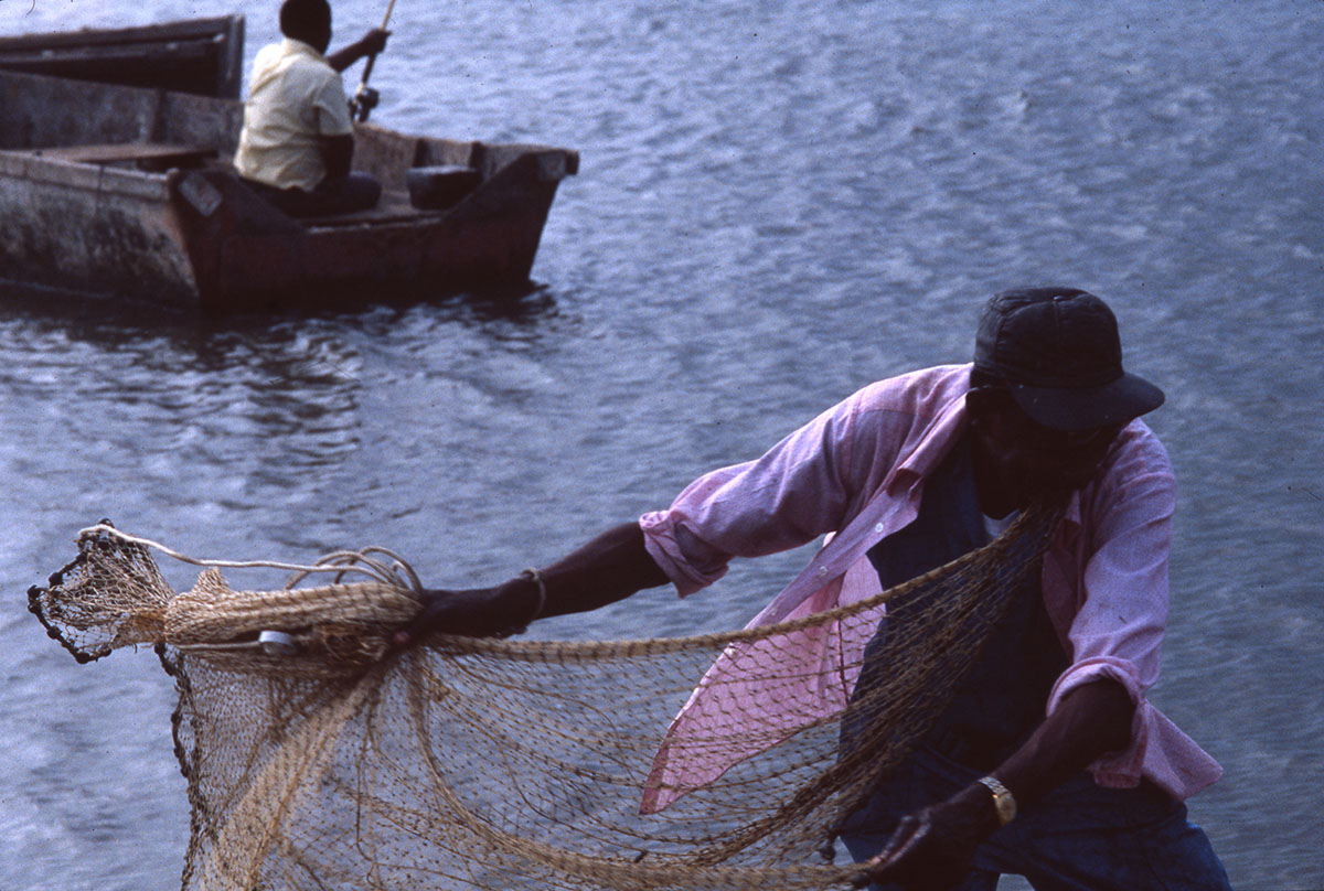 Image of man throwing net to sea from boat